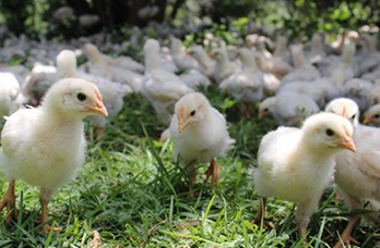 ��-5-2�-19 ����һ ��� ��������� (15-30 ����) ���� 30��